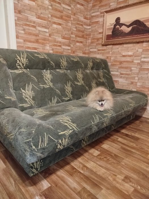 Продам диван книжку. Доставка