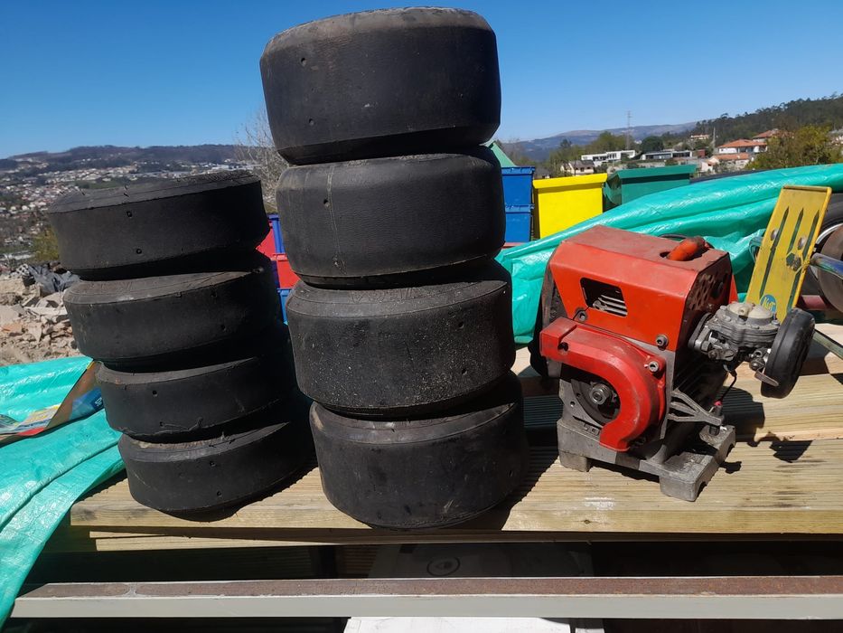 Karting adulto e um para criança