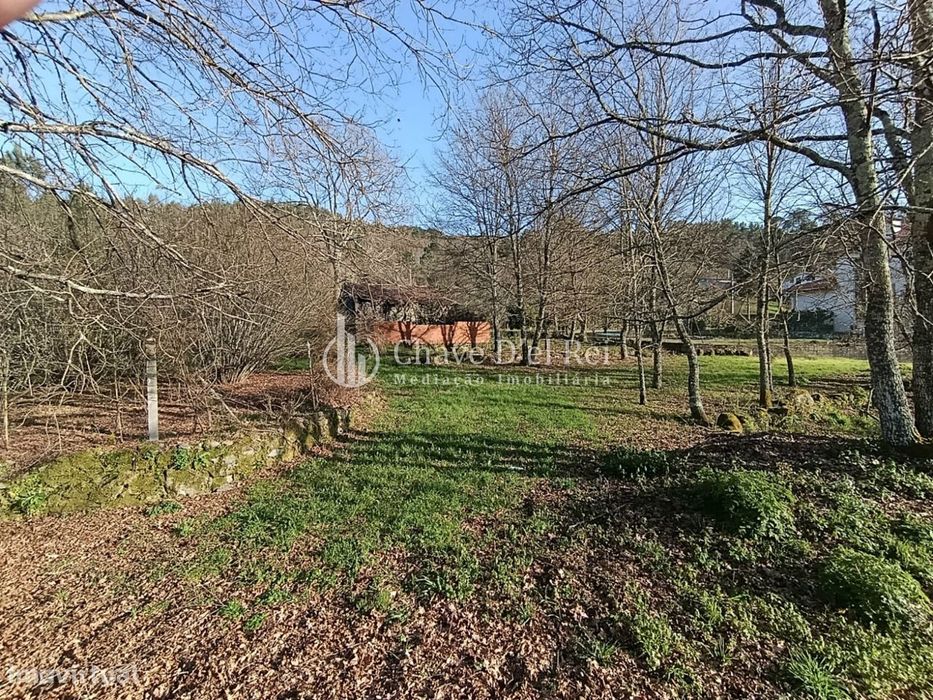 Terreno  Venda em Couto de Baixo e Couto de Cima,Viseu