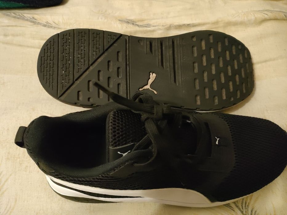 Puma.            .