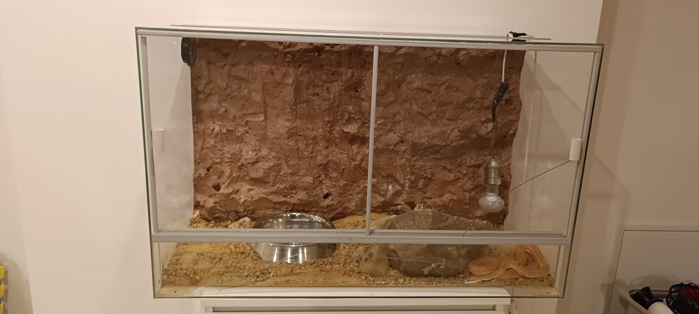 Terrarium z zawartością