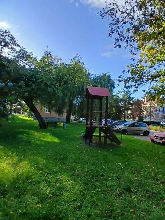 Zdjęcie 8