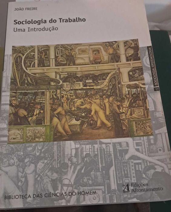 Sociologia do Trabalho, Uma Introdução