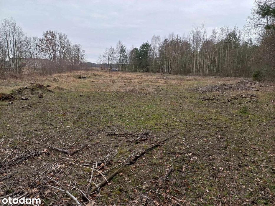 Działka budowlana w Sójki gmina Klonowa - Widok 2