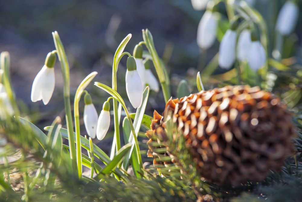 Olympus stylus 1. Sony R1. Nikon D300S. Nikon 18-140
Nikon DX VR