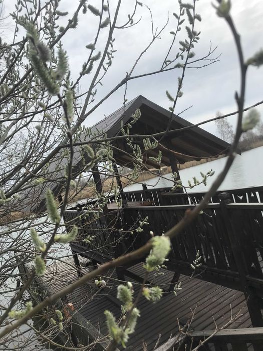 Котедж за містом подобово