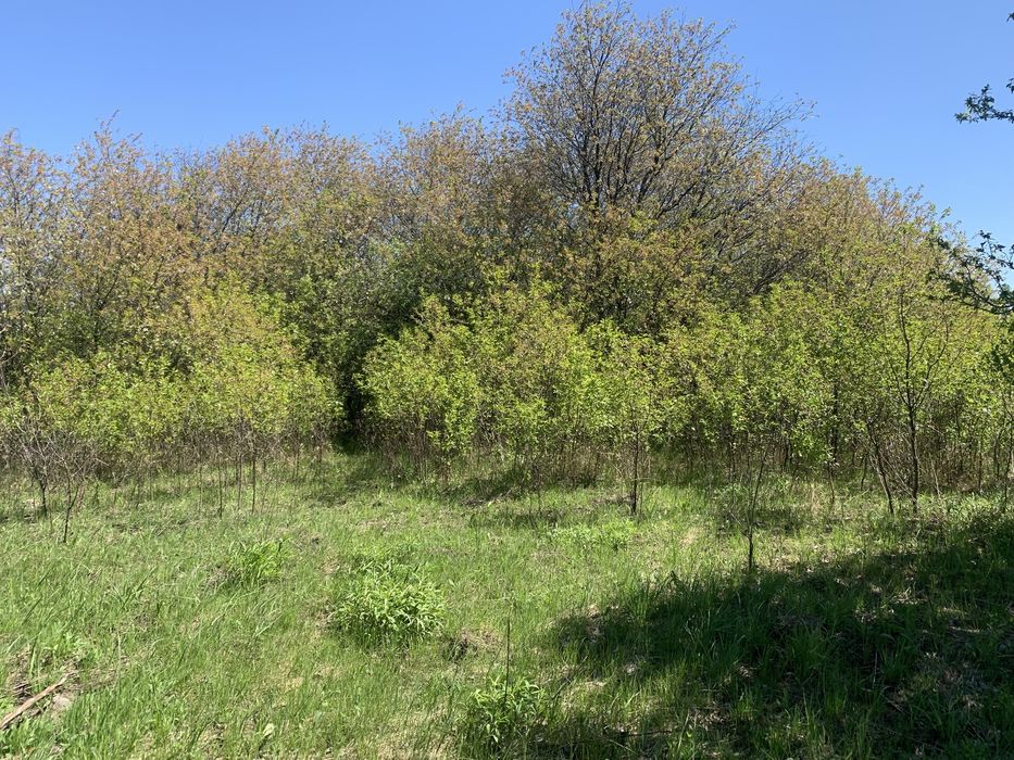 Продам ділянку під забудову - Більше