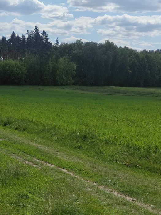 Продам земельну ділянку с. Мироцьке Бучанський район
