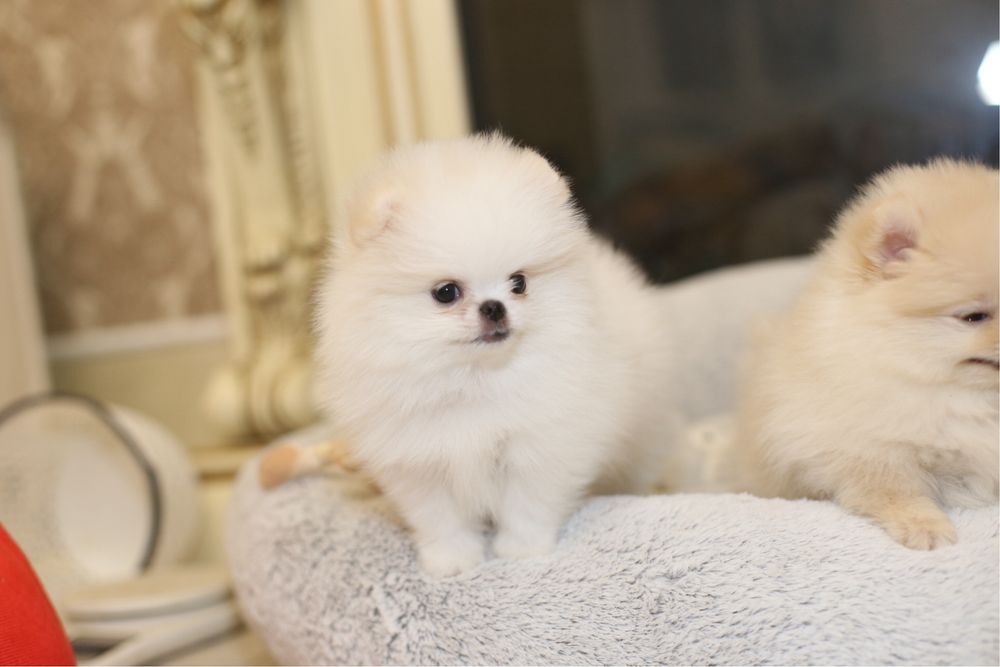 Малючок маленький хлопчик