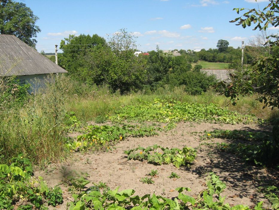 Екобудинок в Кадиївцях саман