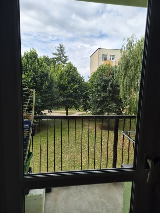 Mieszkanie 2 pokojowe na wynajem