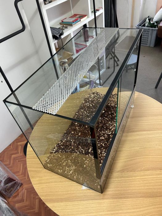 Terrário para repteis NOVO