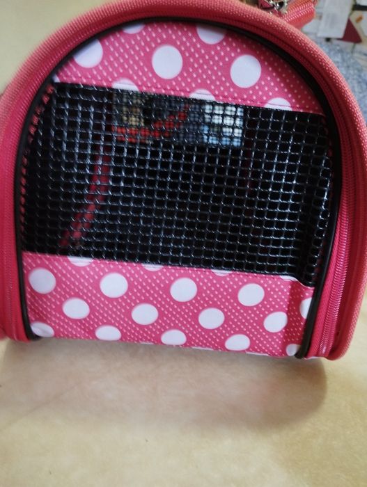 Mala transporte de animais