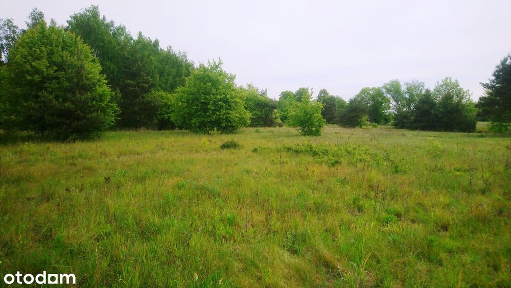 Sprzedam działkę budowlaną o pow. 1093 m² z pozwoleniem na budowę domu. - Widok 3