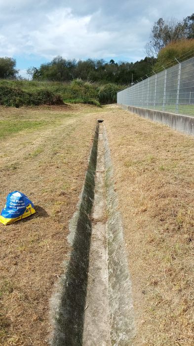 Limpeza de Terrenos Florestais · Abate de Árvores · Lenha · Jardinagem
