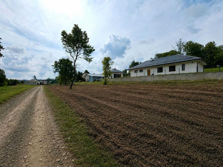 Zdjęcie 2