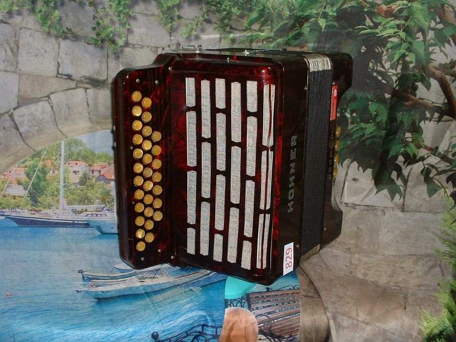 Concertina a venda n.829