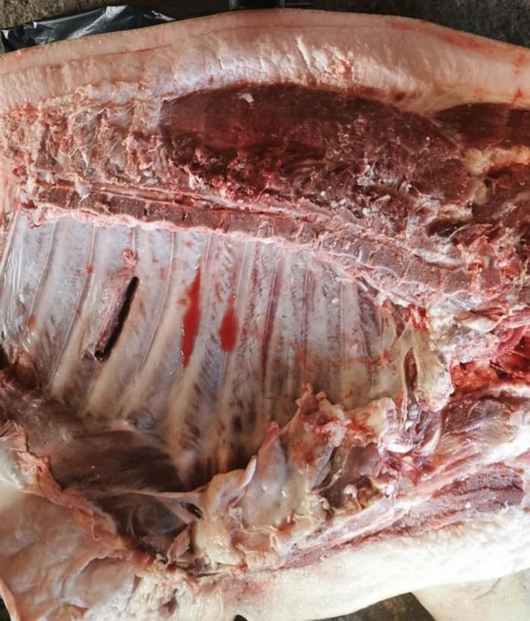 Свинина, мясо, туша, четвертина, свіжина