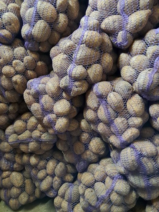 Картопля коннект .