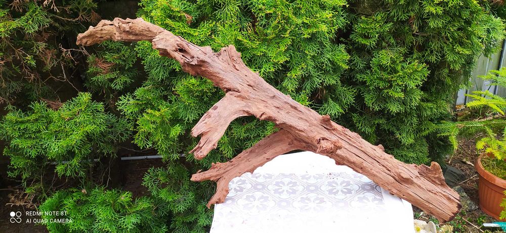 Olbrzymi korzeń do akwarium,terrarium ok 120cm