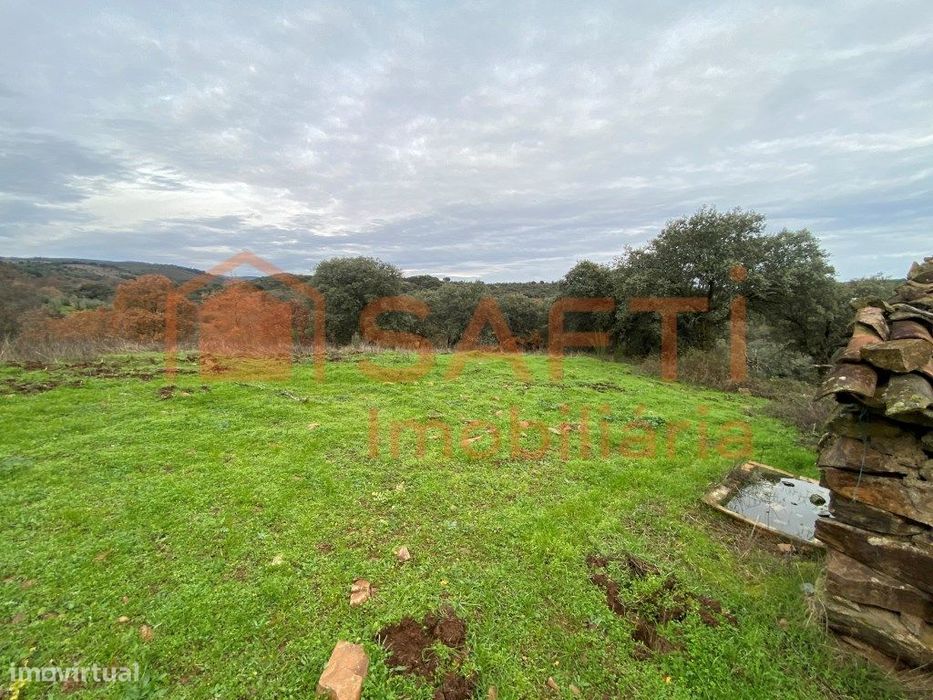 Olival de Excelência com 2,2 Hectares em Macedo de Cavaleiros - Pro...