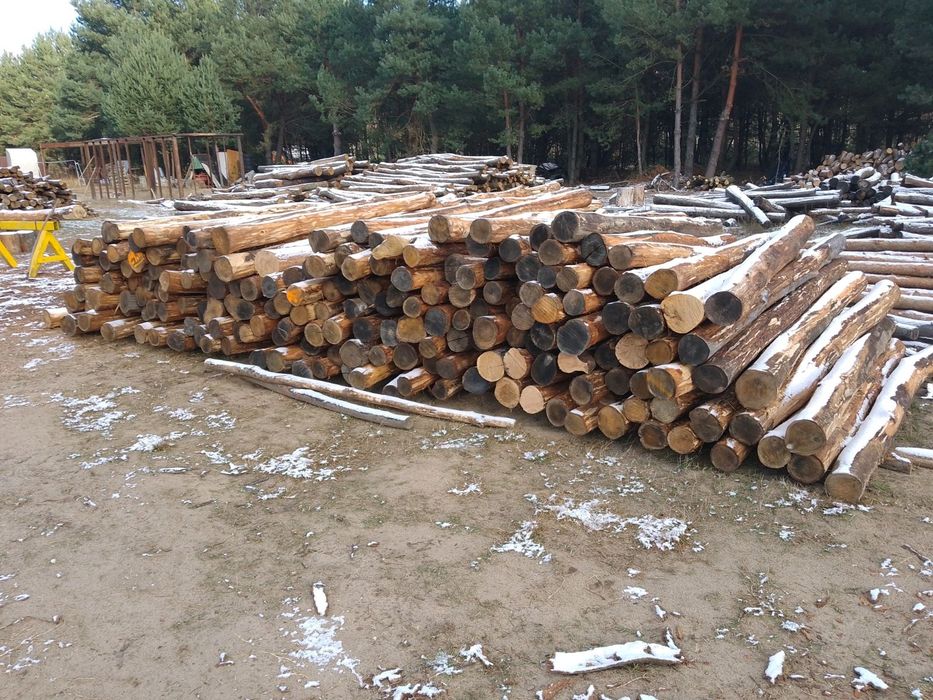 słupki, kołki,paliki melioracyjne dębowe akacjowe sosnowe