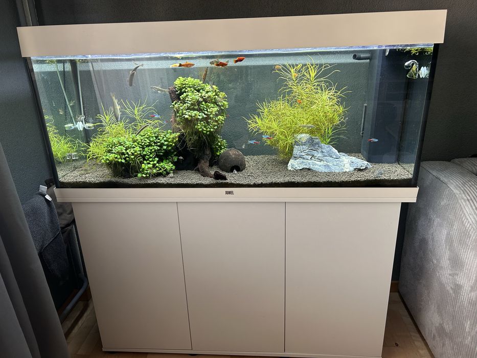Akwarium JUWEL  Rio 240 l +CO2 + szafka