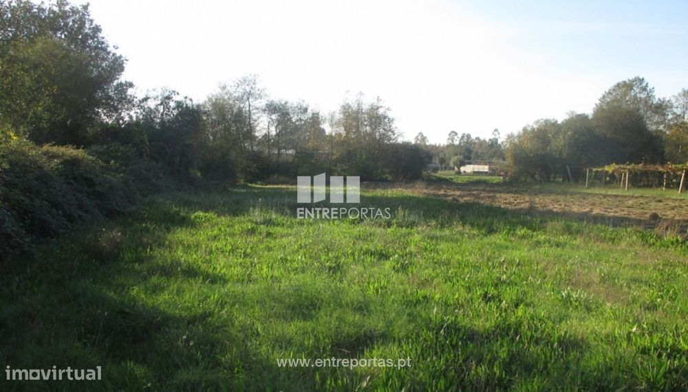 Venda de terreno agrícola, Barroselas, Viana do Castelo