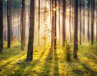 Фотошпалери під замовлення 3D обои Фотообои