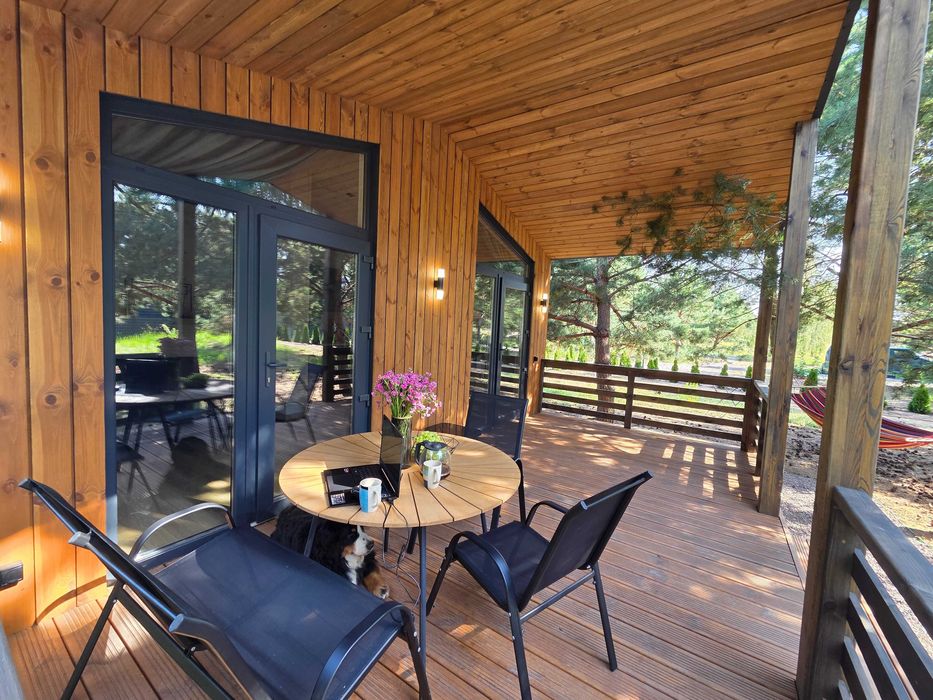 Котедж у сосновому лісі під Києвом. Камін. Вініл. Чан. Баня