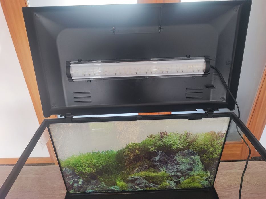 Aquário aqualantis 60L