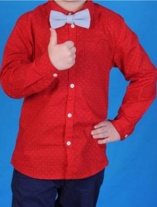 Крутезна сорочка H&M на хлопчика 6-7 років