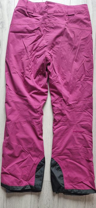 Mammut  L.        .