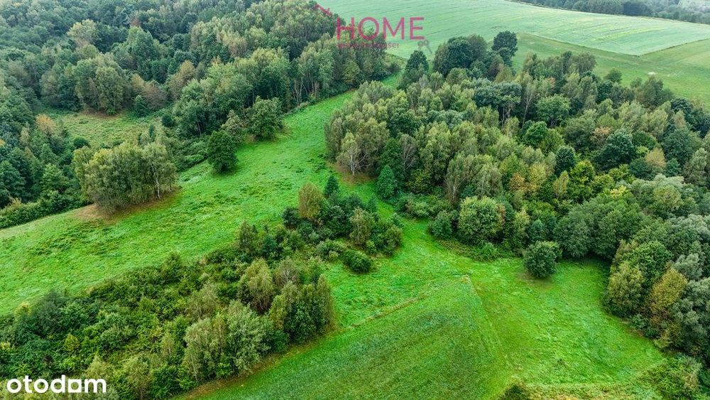 Nowy Borek 1,3675 ha- w trakcie Wz zagrodowa