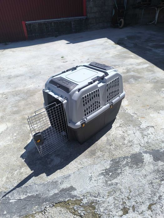 caixa de transporte para animais