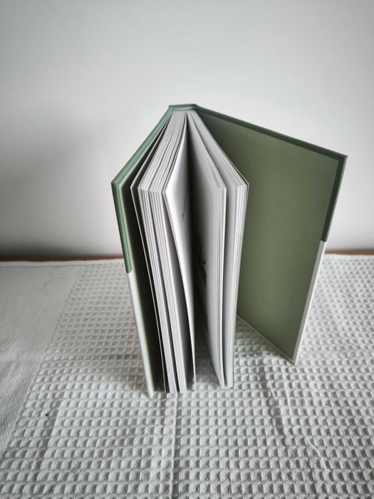 Livro "Picos: Guia para Escolher, Cuidar e Dispor Catos e Suculentas" (Gynelle Leon)