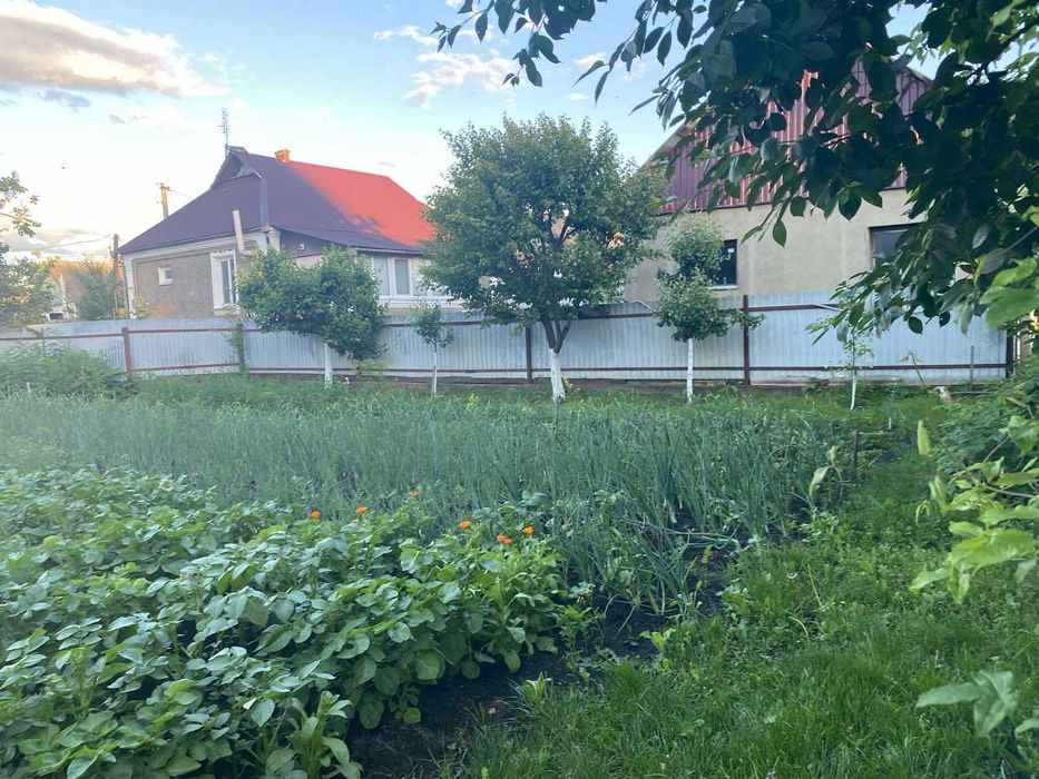 Продається будинок в Грицеві