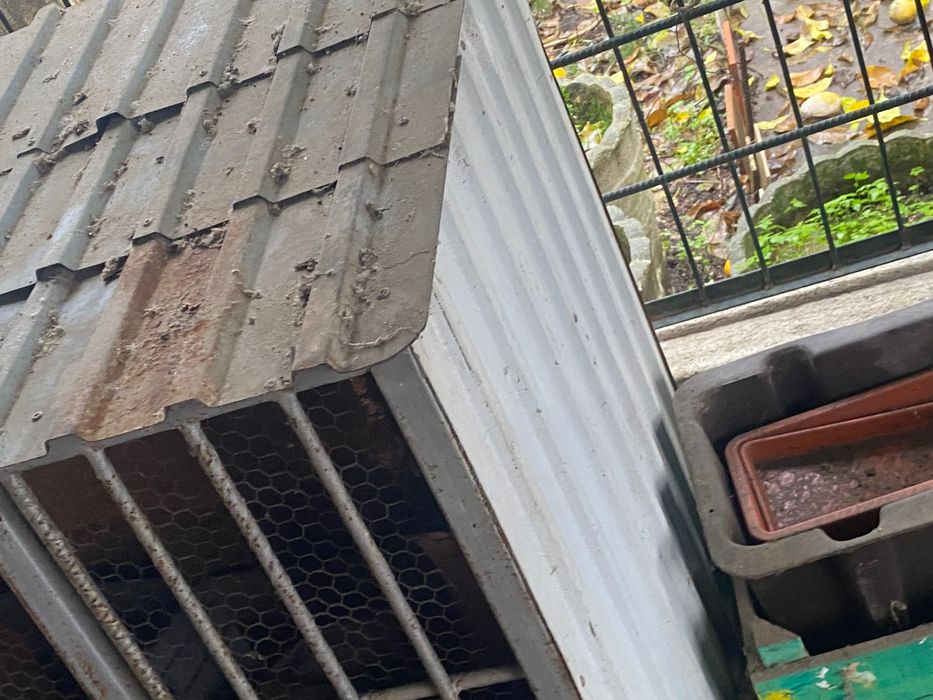 Gaiola para pássaros ou coelhos