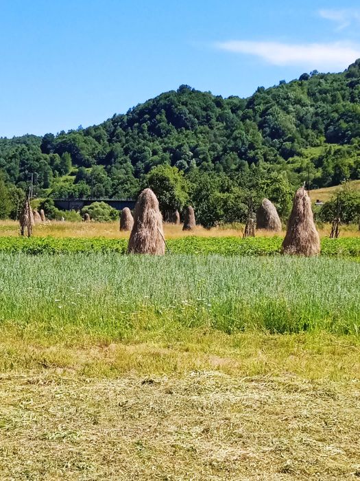 Продам земельную ділянку в Карпатах буля річки Уж.