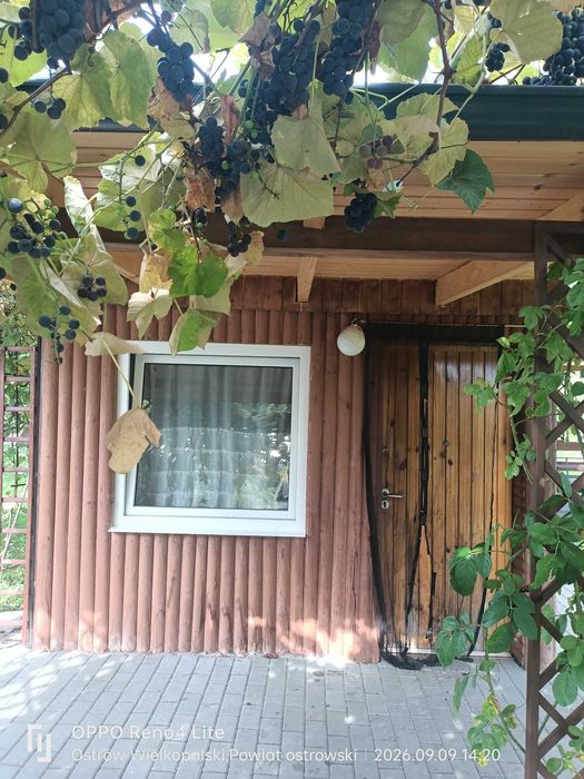Działka ogrodowa - Widok 4