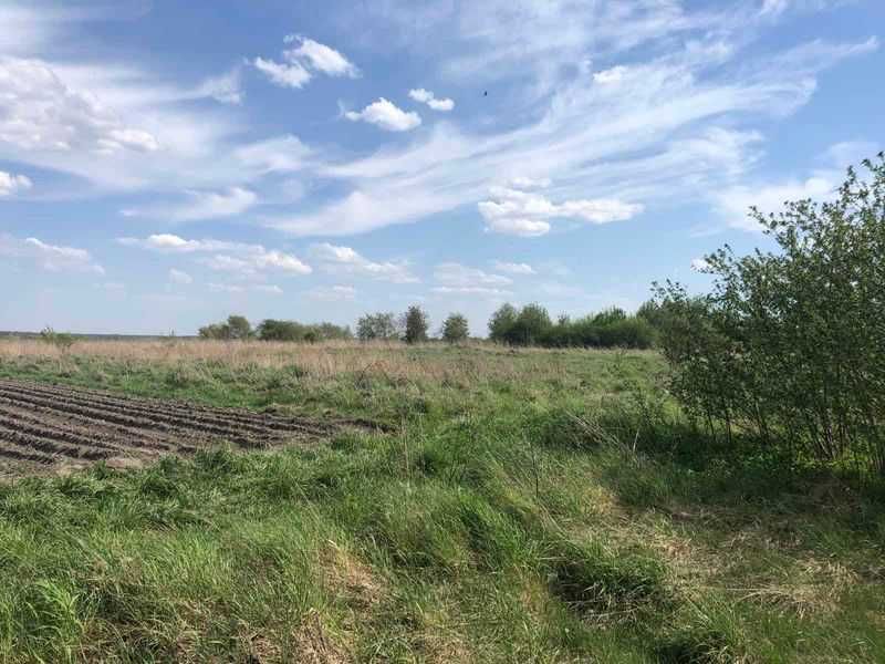 Оренда ділянки не с/г 6,61га с. Сапіжанка