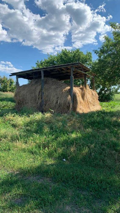 Продаж ферми (свиноферма) 200 кв.м. в селі Пустовойтове, 10 км. до міста Глобине, Кременчуцький район - View 5