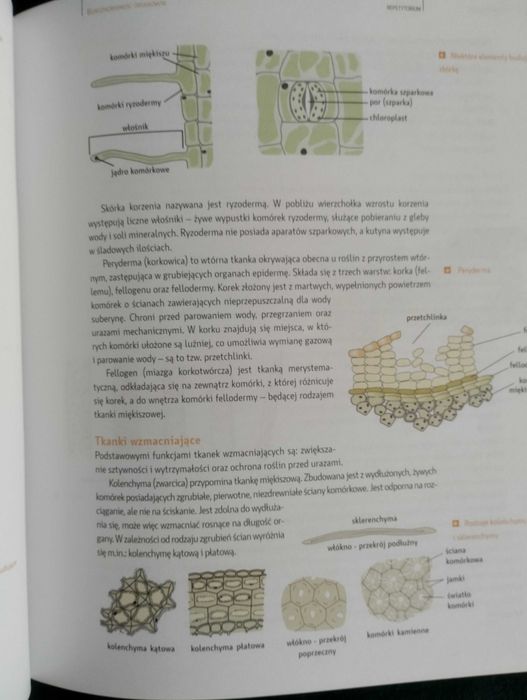 Repetytorium biologia PWN Konieczny, Goralski