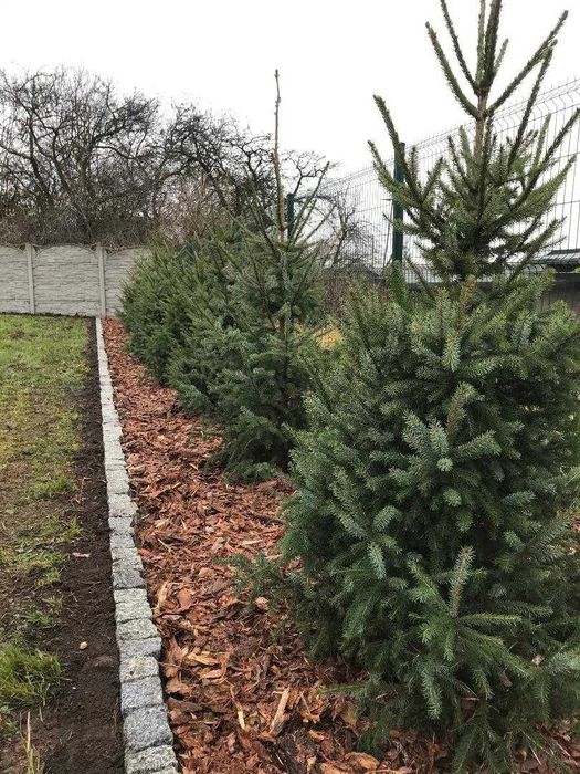 Działka budowlana 841 m²  -  Woźniki