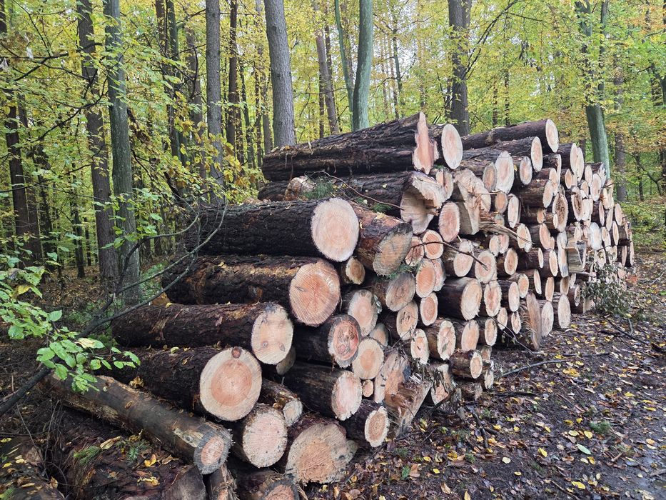 Drewno opałowe w wałkach