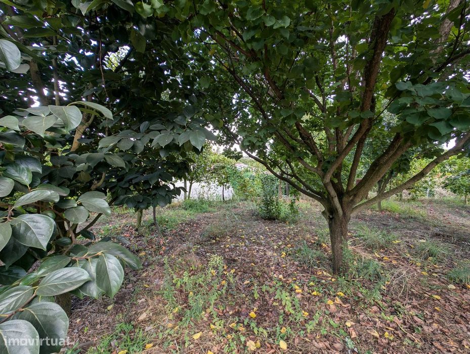 Terreno Misto em Vilaça – 1.100 m²