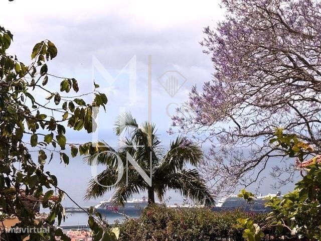 Moradia T2 + 2 com vista, quintal e terreno