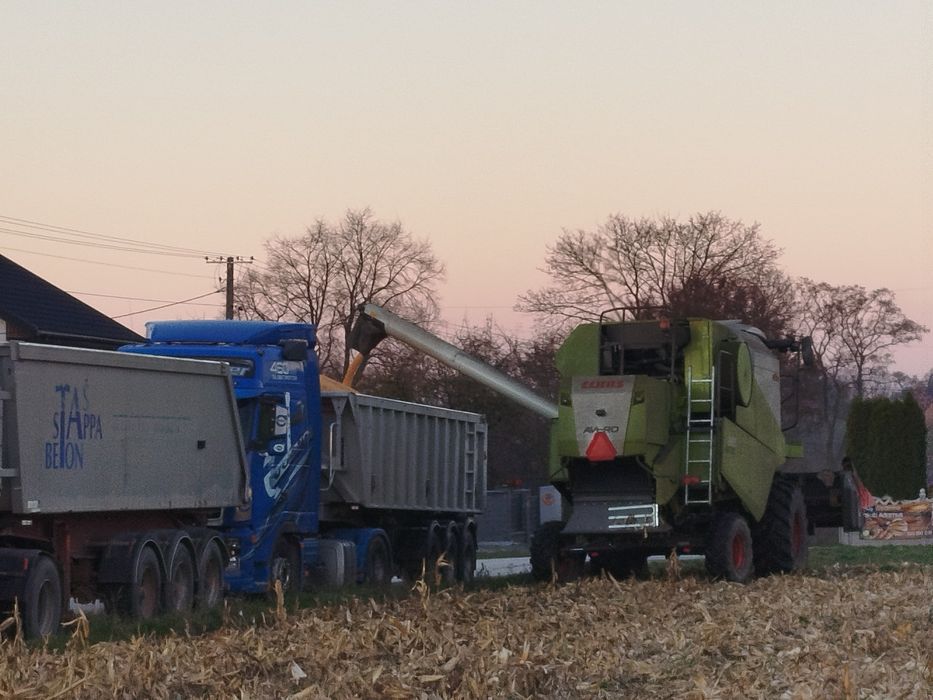 Usługi transportowe sprzedaż kruszywa, ziemi