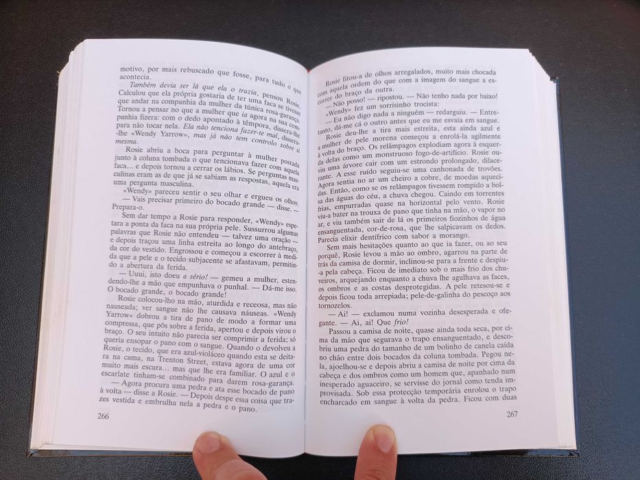 Livro "O Retrato de Rose Madder", Stephen King