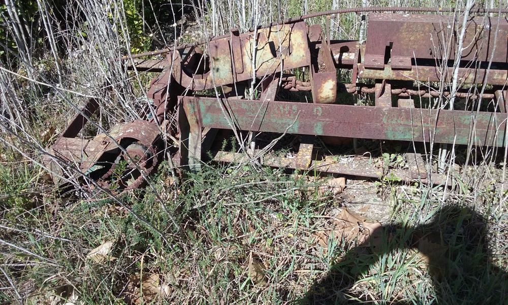 Máquinas de serração, tapetes transportadores de madeira, galgadeiras